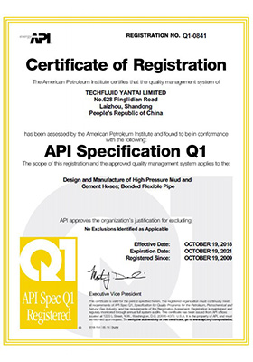 API Q1-0841