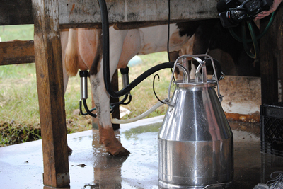 Manguera de caucho sin refuerzo